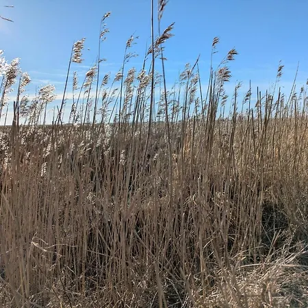 Feriehus Luxury Retreat In - By Traum *