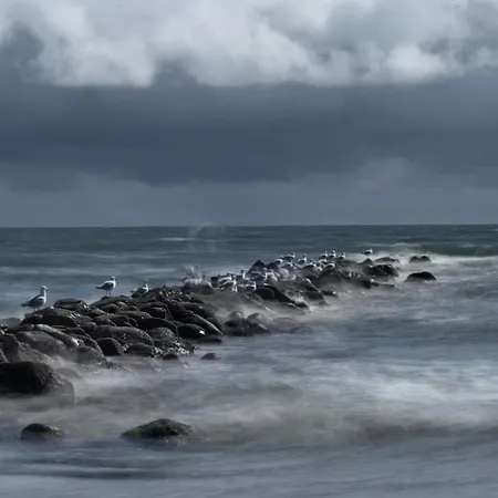 Feriehus Luxury Retreat In - By Traum Blåvand